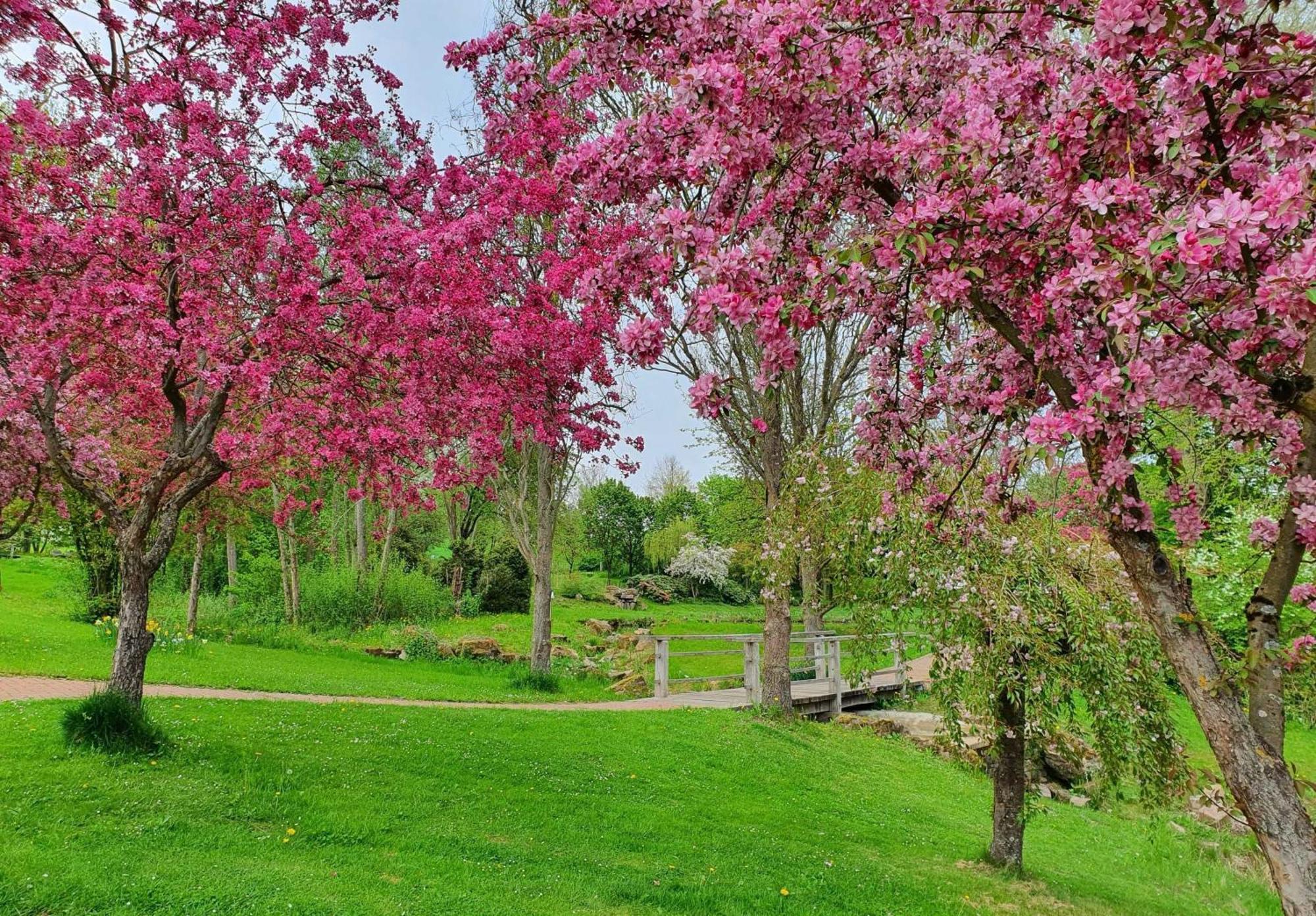 Апартаменты Kleinod Am Kurpark Бад-Цвестен Экстерьер фото